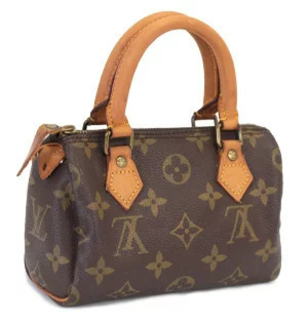 Louis Vuitton Handbag Speedy Monogram Brown